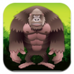 gorilla-workout-2